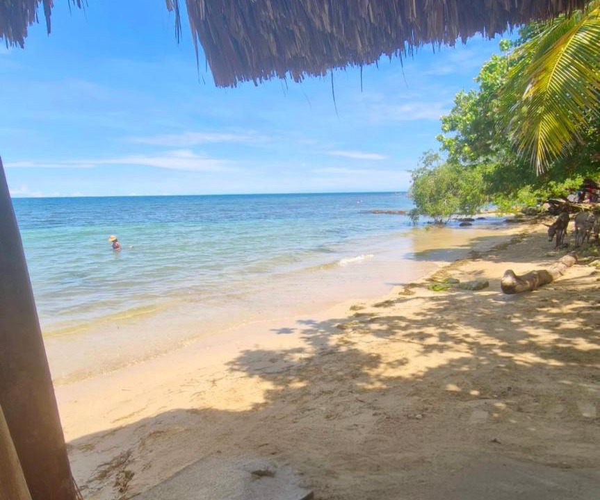 Photo of Others in Isla Fuerte