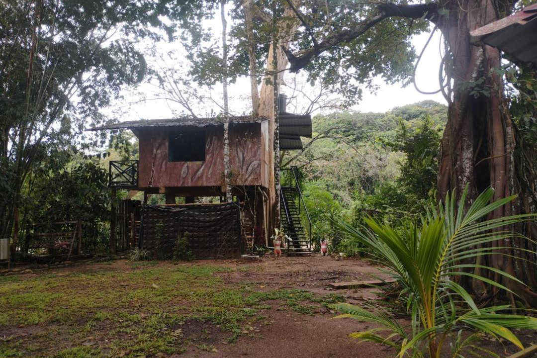 Photo of Others in Aguazul