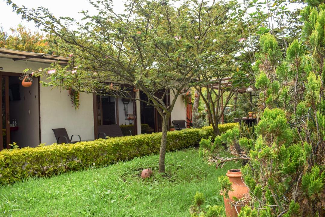 Photo of Others in Villa de Leyva