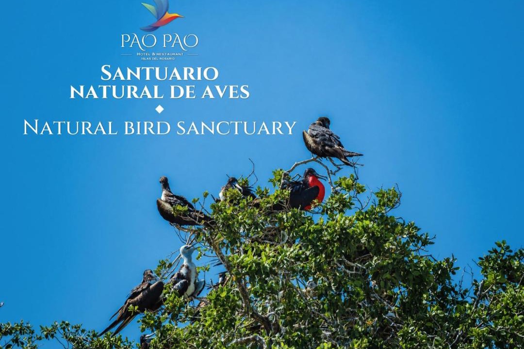 Photo of Others in Rosario Islands