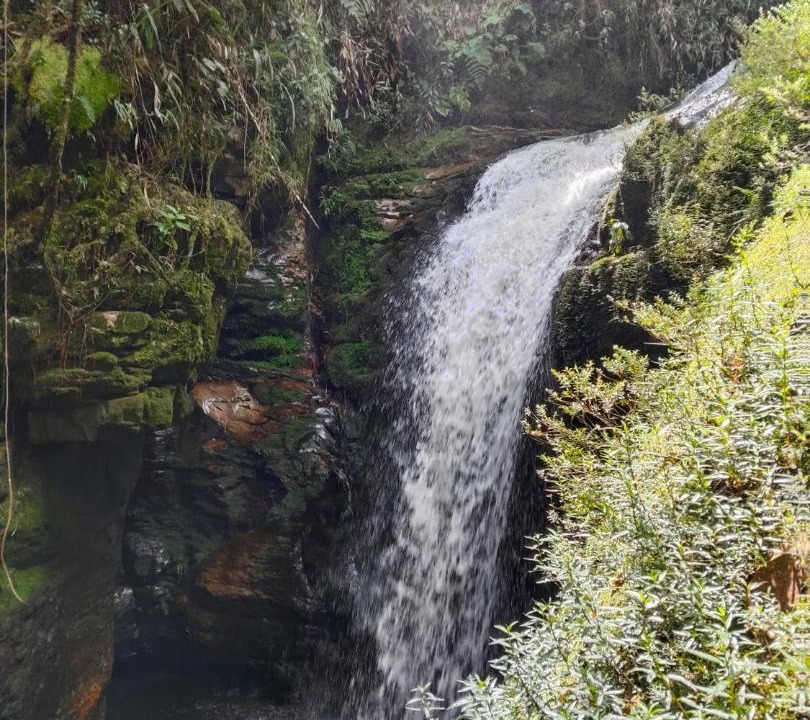 Photo of Others in Moniquira