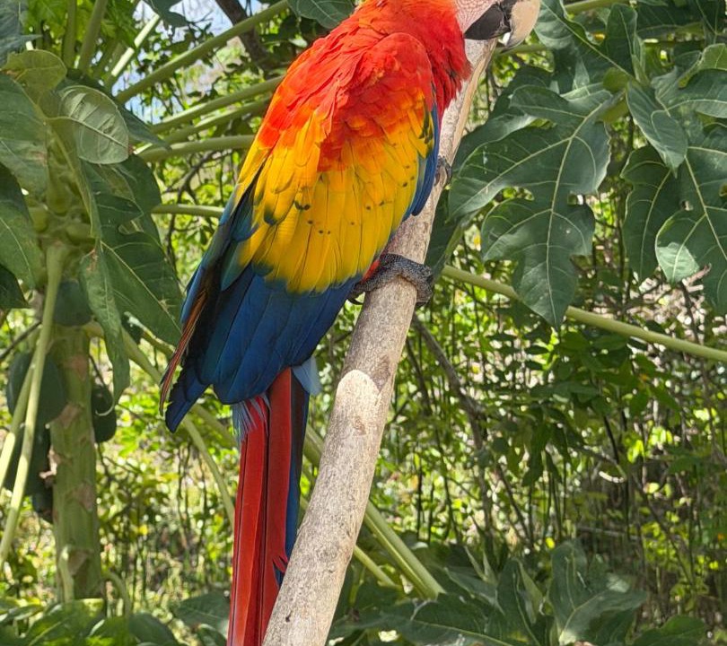 Photo of Others in Tierra Bomba Island