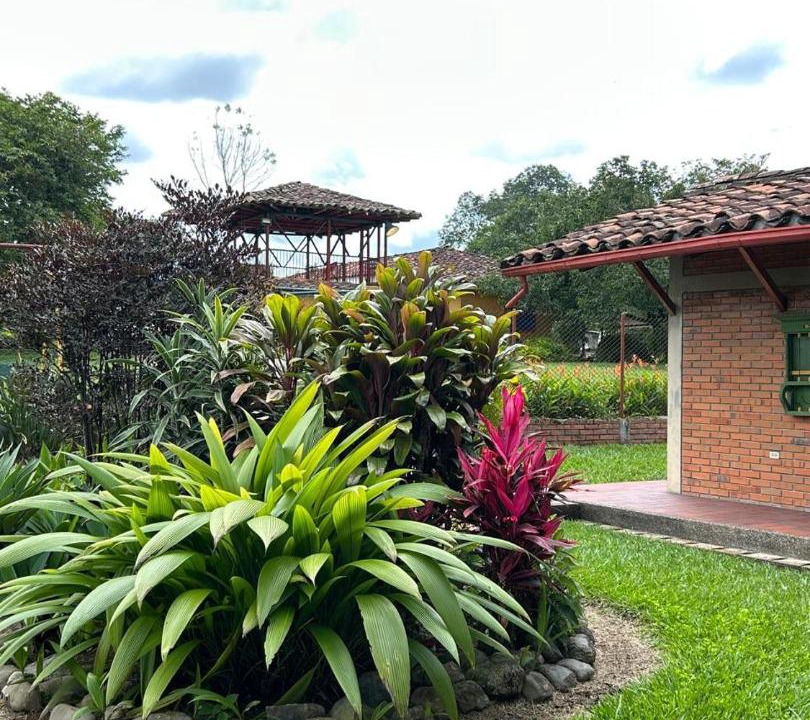 Photo of Others in Pereira