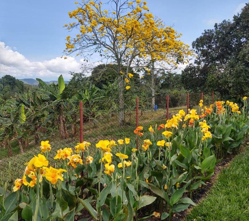 Photo of Others in Pereira
