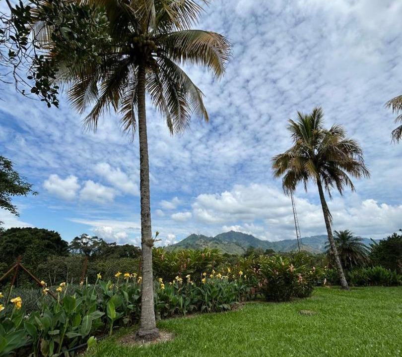 Photo of Others in Pereira