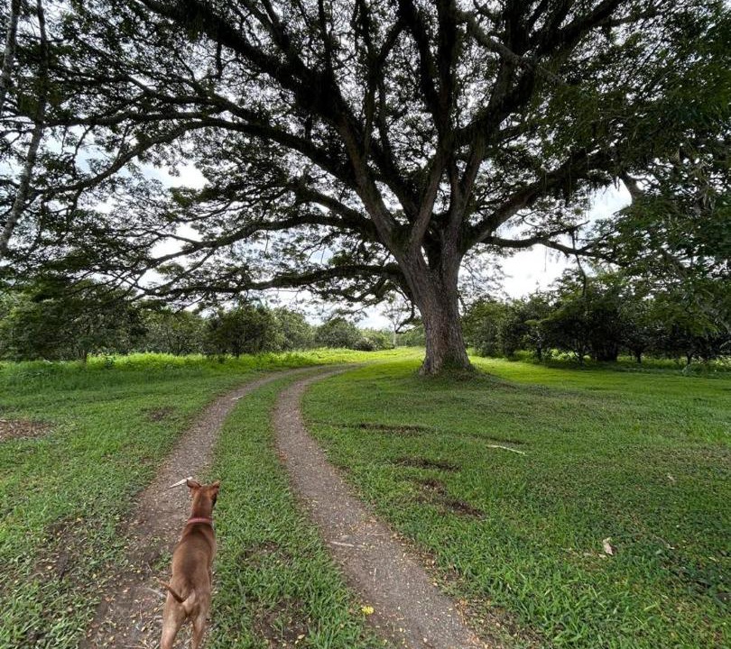 Photo of Others in Pereira