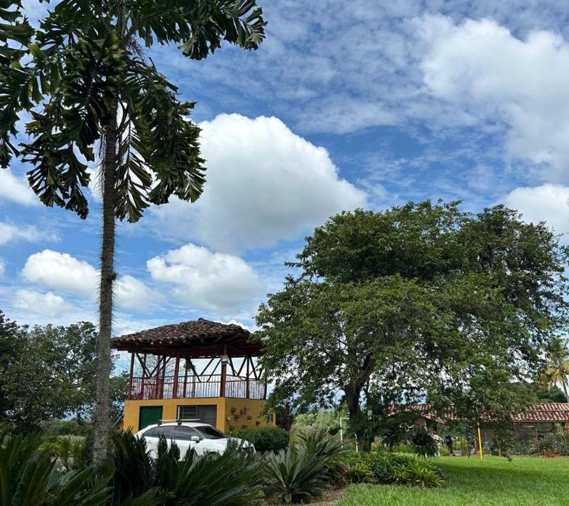 Photo of Others in Pereira