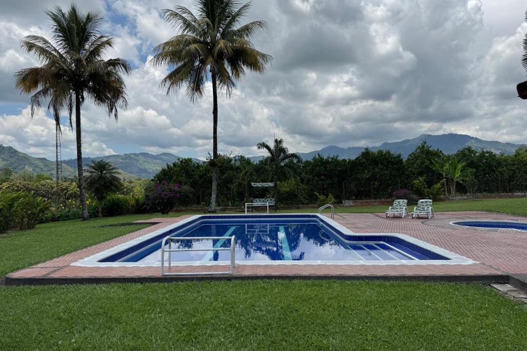 Photo of Others in Pereira