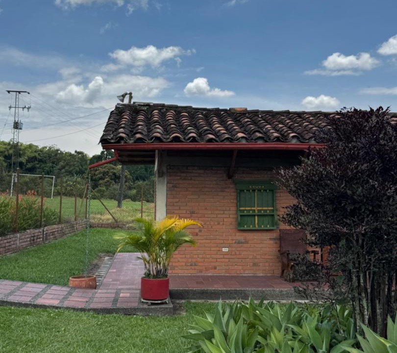 Photo of Others in Pereira