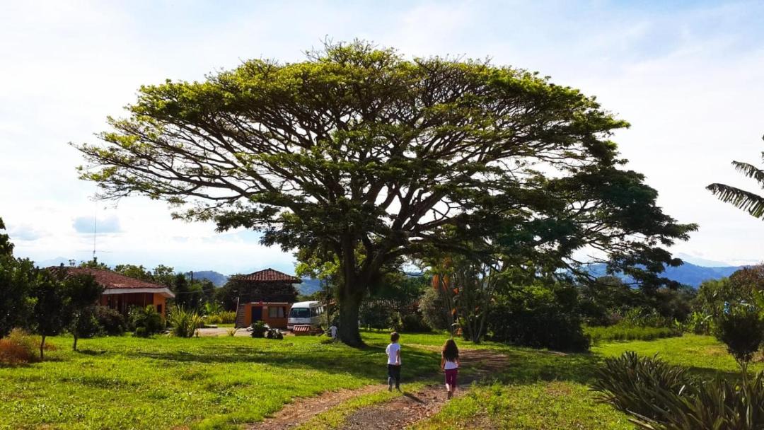 Photo of Others in Pereira