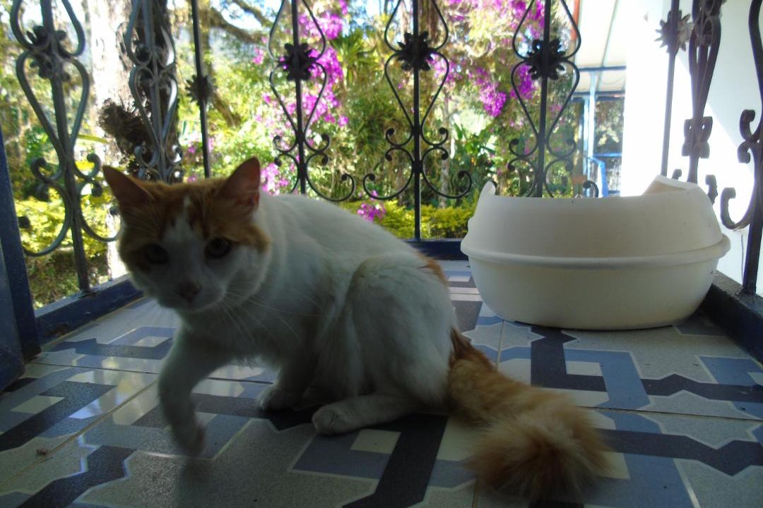 Photo of Others in Jardin