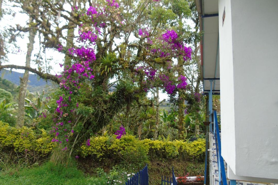 Photo of Others in Jardin
