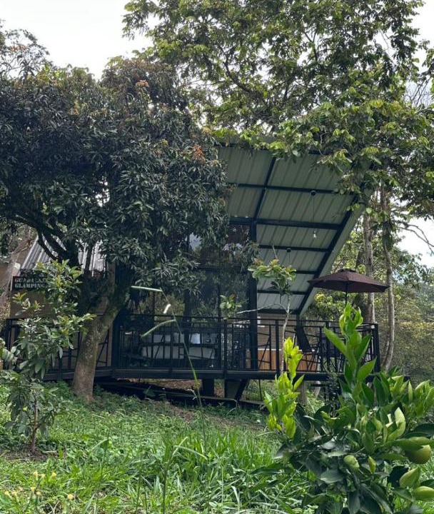 Photo of Others in Moniquira