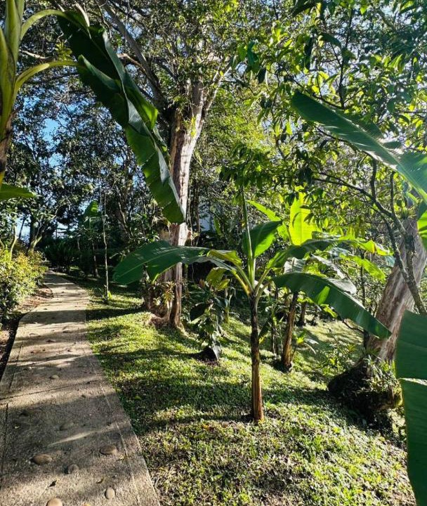 Photo of Others in Moniquira
