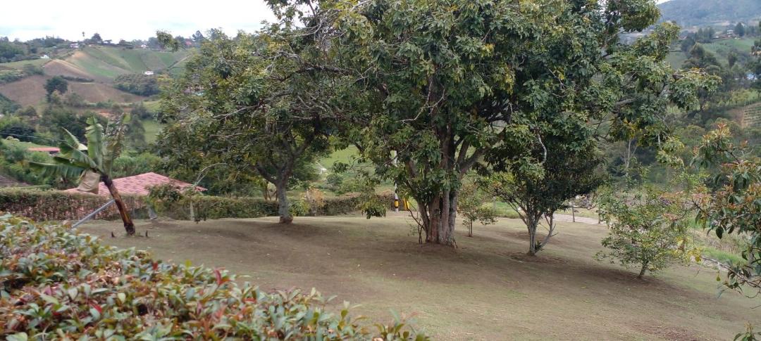 Photo of Others in El Santuario