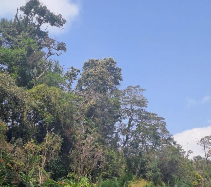 Photo of Others in La Vega
