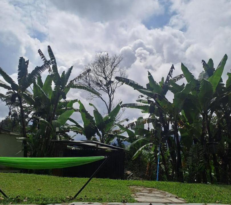 Photo of Others in La Vega