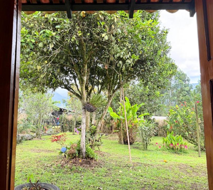 Photo of Others in Jardin