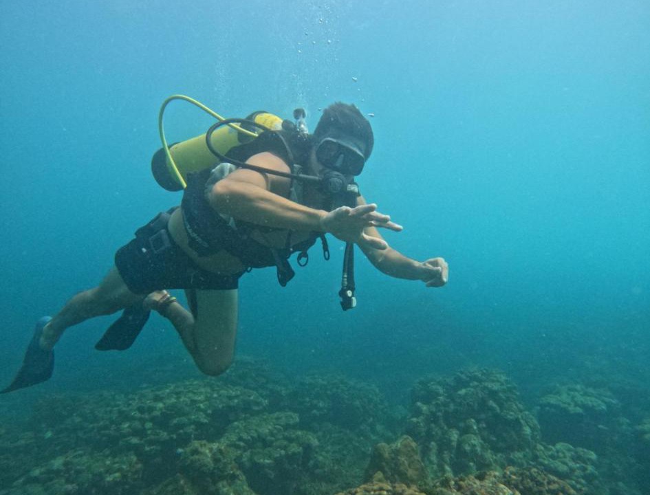 Photo of Others in Bocachica
