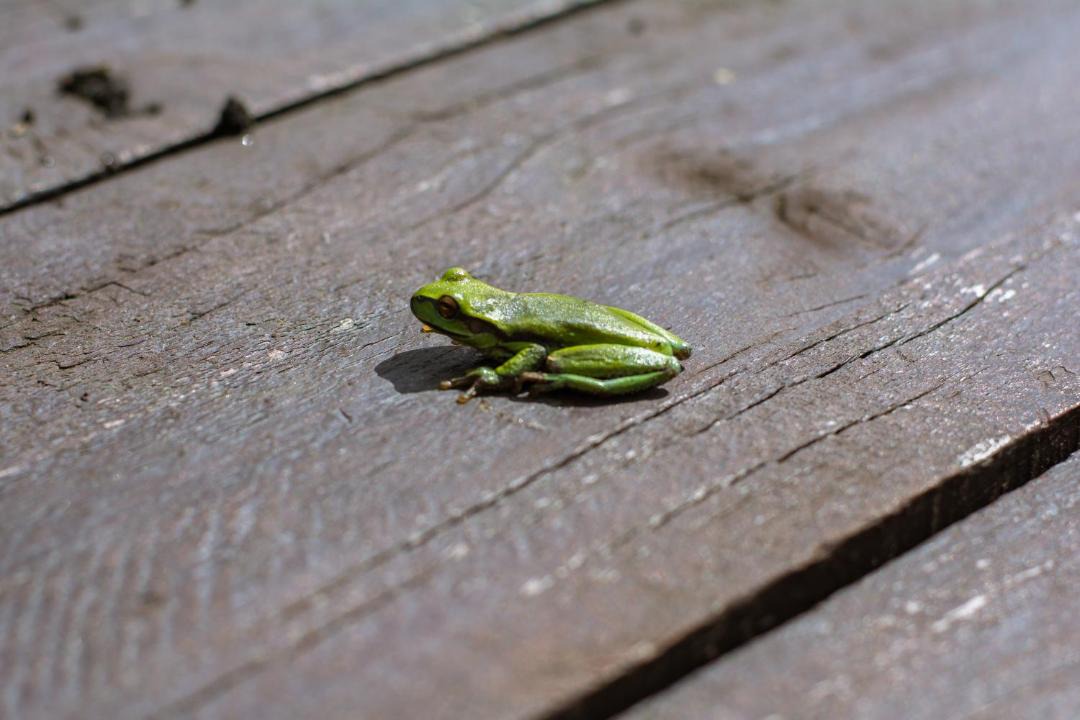 Photo of Others in Villa de Leyva