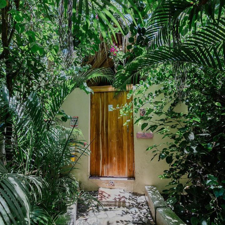 Photo of Others in Guachaca
