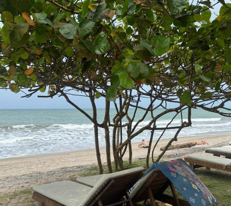Photo of Others in Palomino
