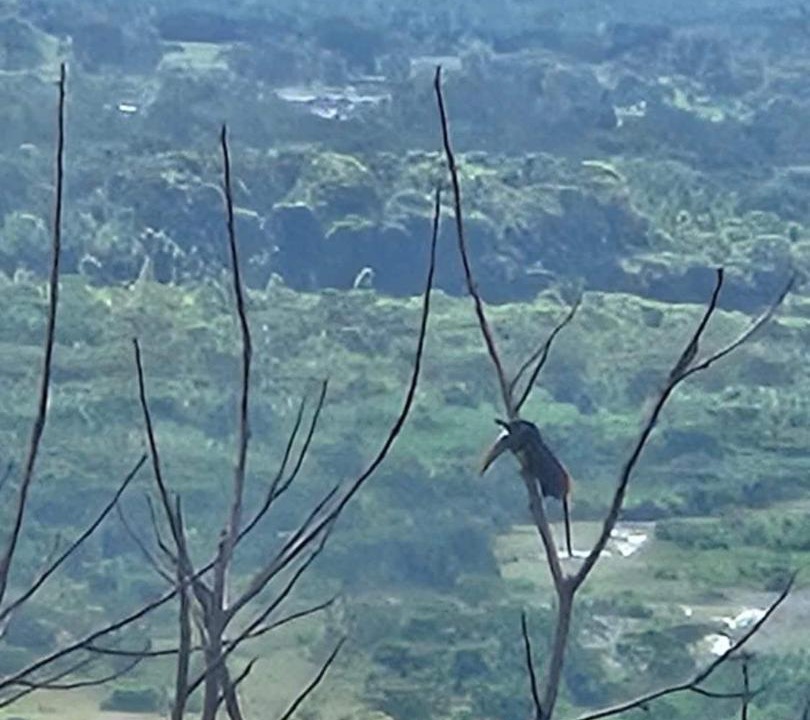 Photo of Others in Acacias