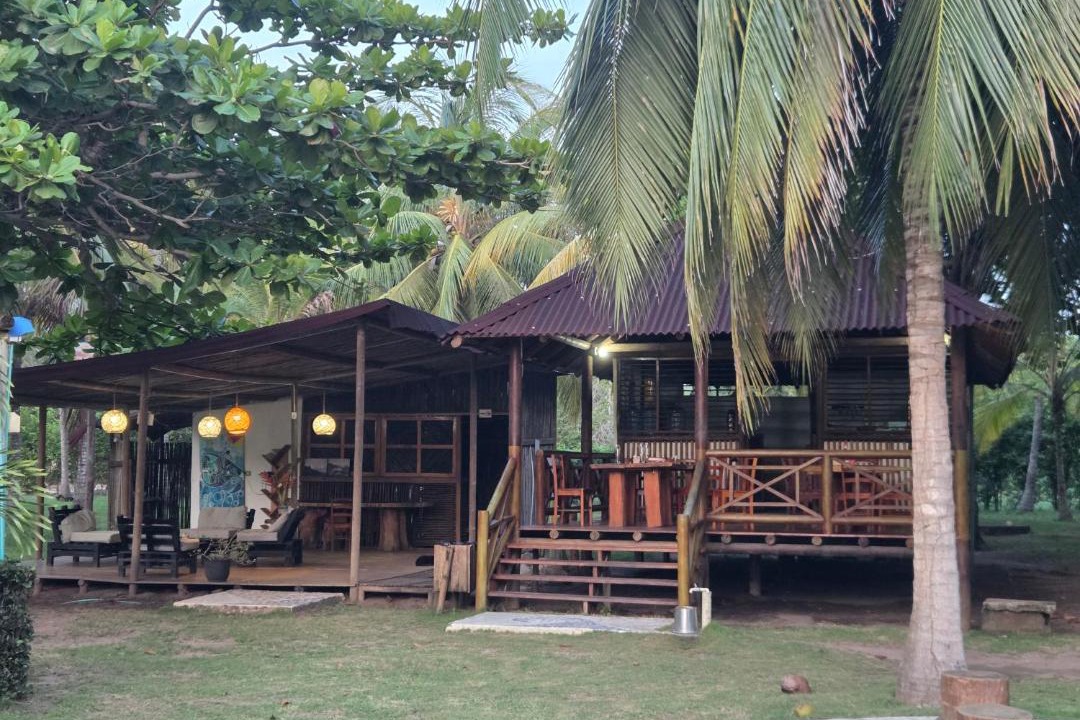 Photo of Others in Palomino