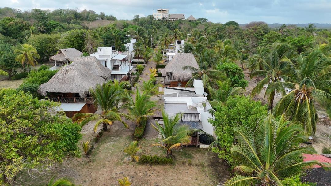Photo of Others in Monitos