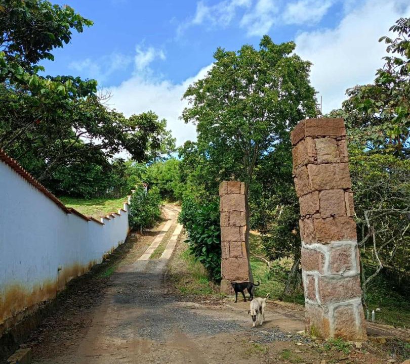 Photo of Others in Curiti
