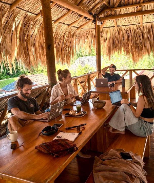 Photo of Others in Palomino