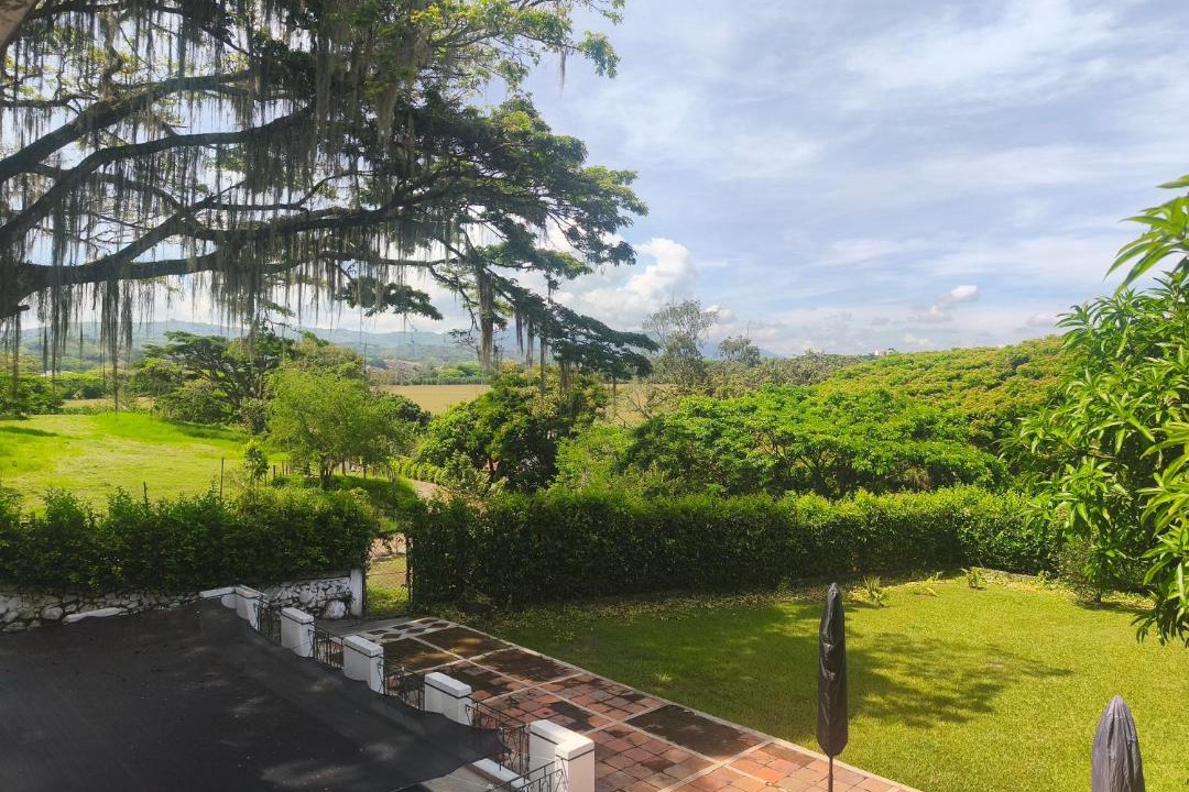 Photo of Others in Pereira