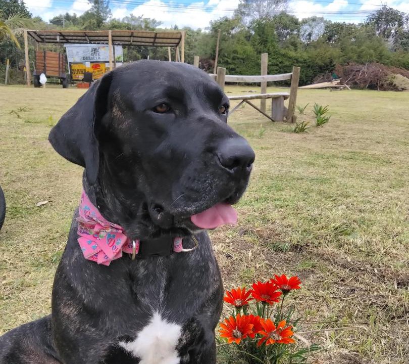 Photo of Others in Medellin