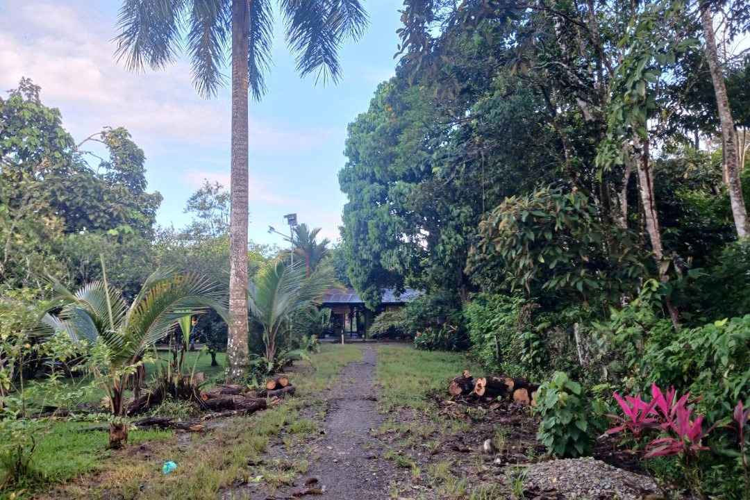Photo of Others in Mocoa