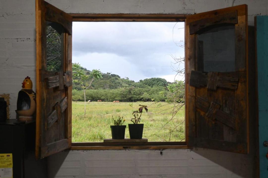 Photo of Others in Yolombo
