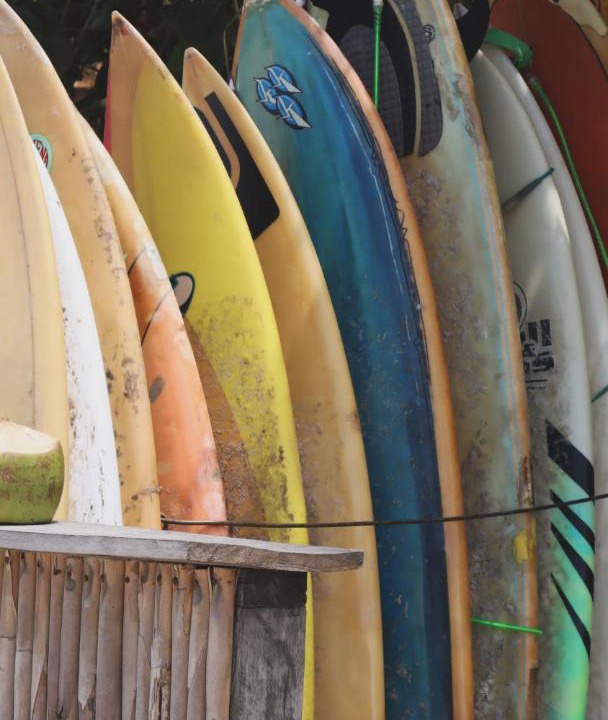 Photo of Others in Palomino