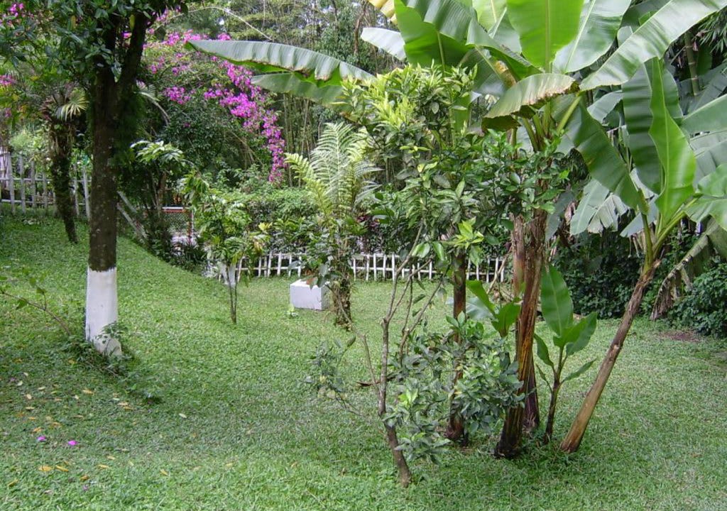 Photo of Others in Sasaima