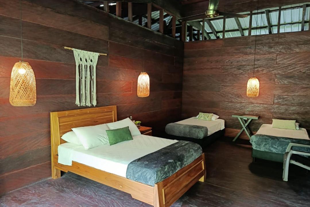 Photo of Others in Unguia