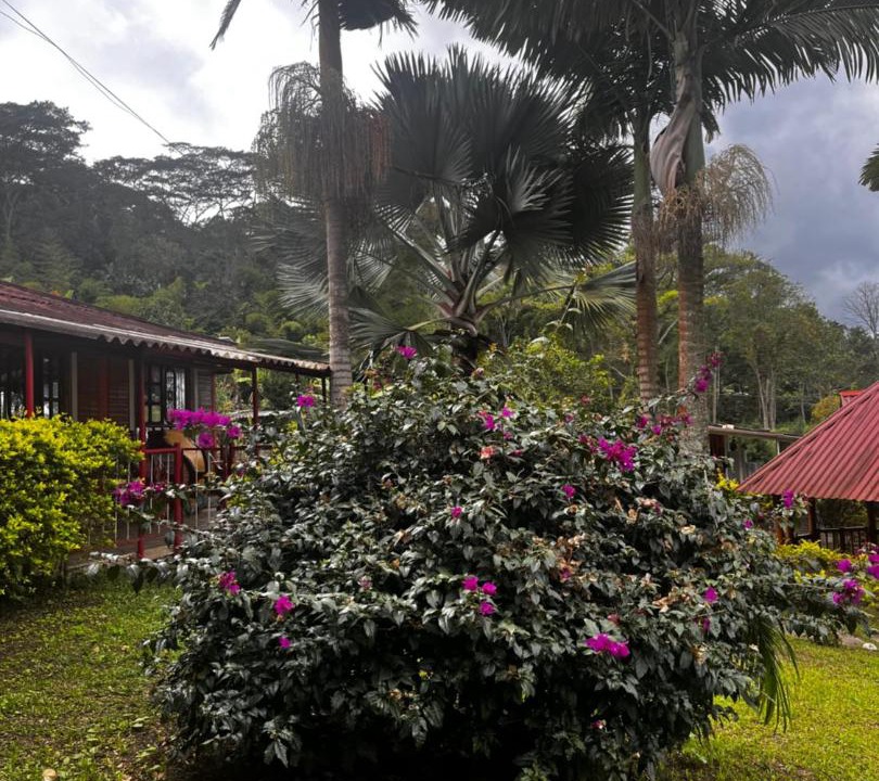 Photo of Others in Anolaima