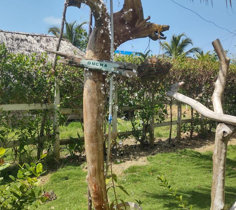 Photo of Others in Monitos