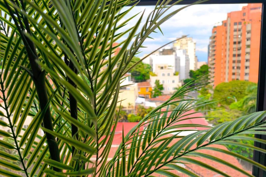 Photo of Others in Granada
