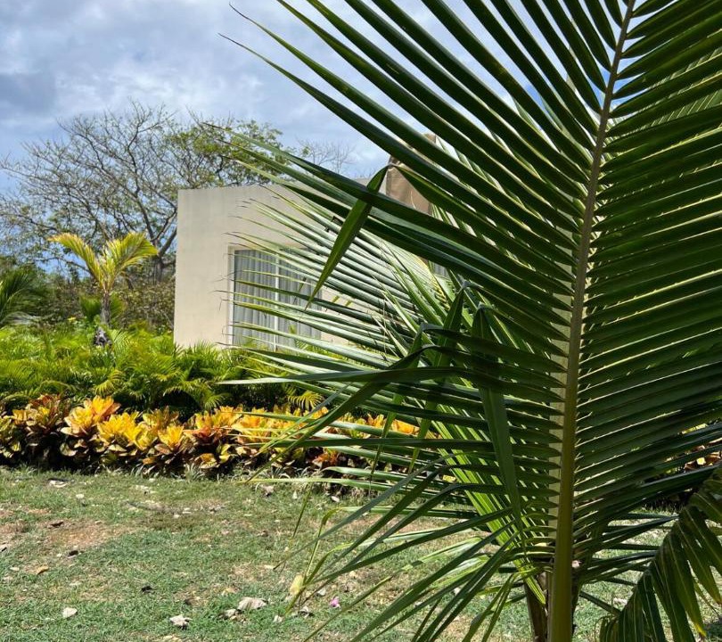 Photo of Others in Punta Sur