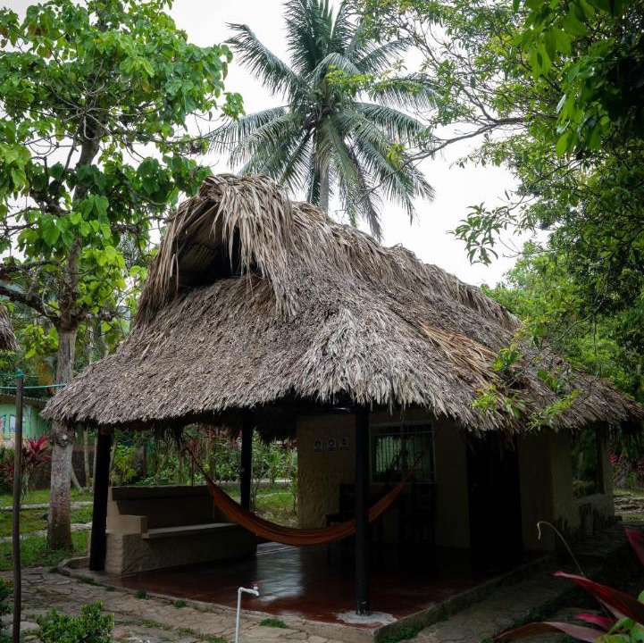Photo of Others in Don Diego