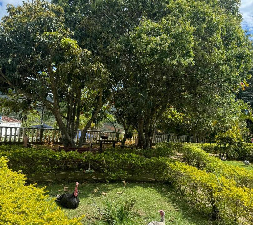 Photo of Others in Barichara