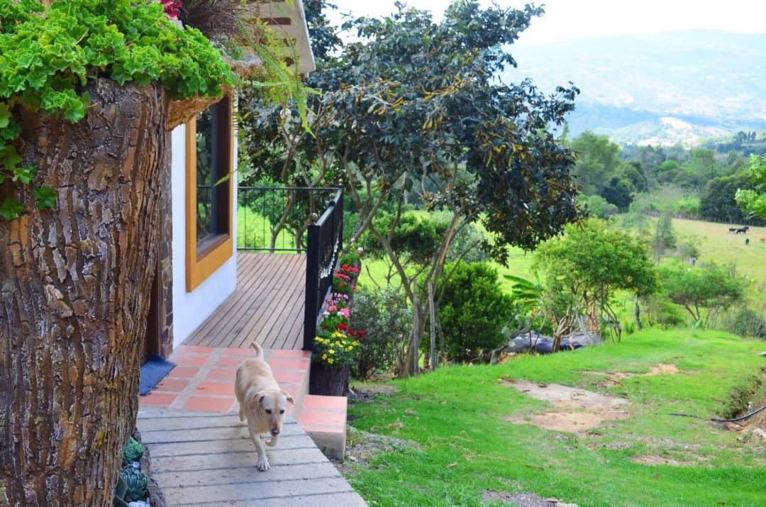 Photo of Others in Raquira