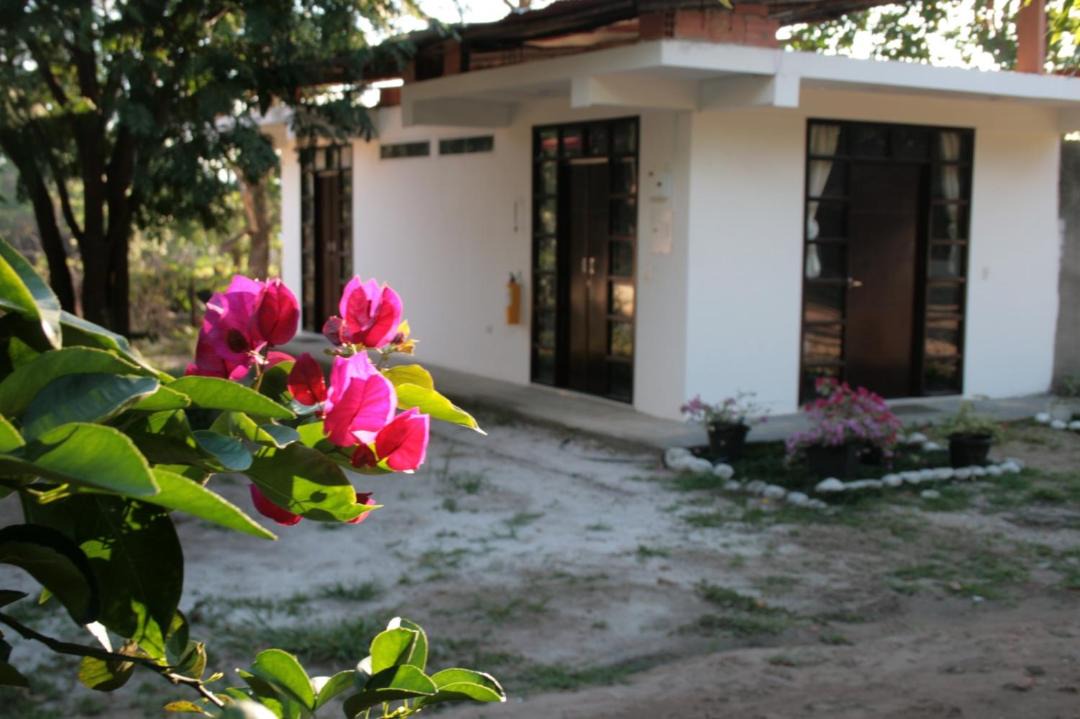 Photo of Others in Tauramena