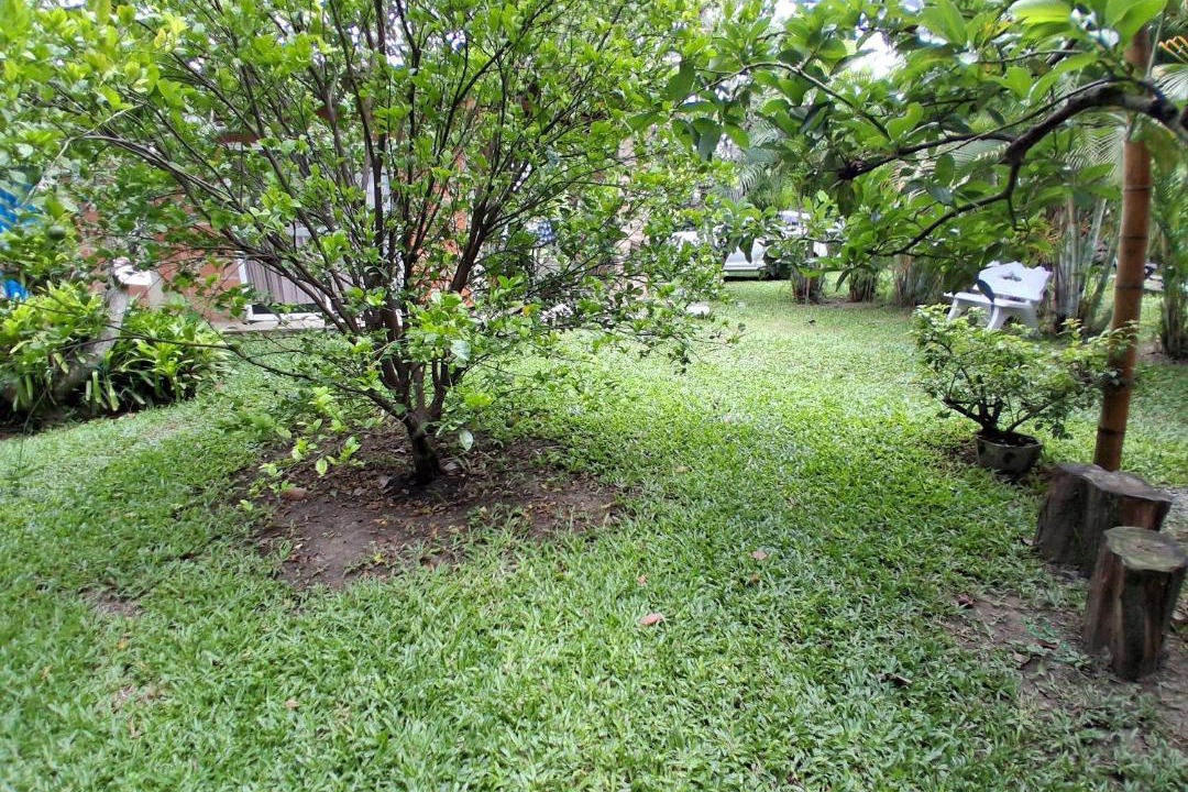 Photo of Others in Palmira