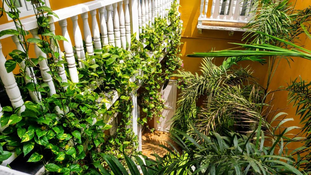 Photo of Others in Cartagena Walled City