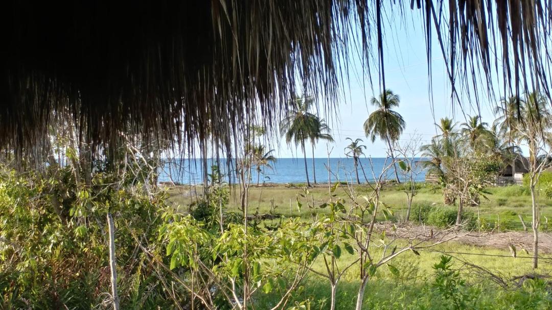 Photo of Others in San Bernardo del Viento