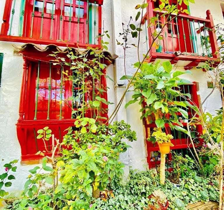 Photo of Others in La Candelaria
